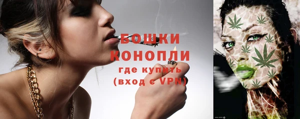 гидра Богородск