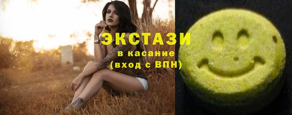 гидра Богородск