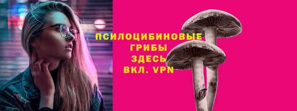 гидра Богородск