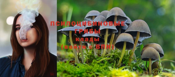 мяу мяу кристалл Богородицк