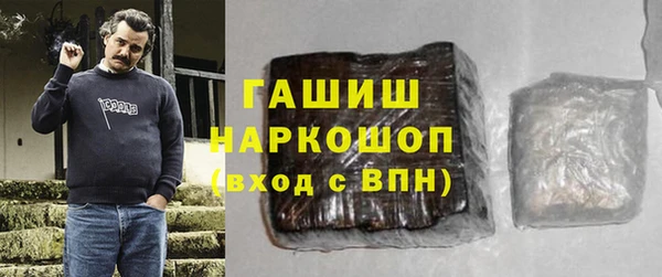 гидра Богородск