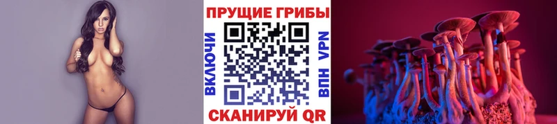 Галлюциногенные грибы Psilocybine cubensis  купить  сайты  Колпашево 